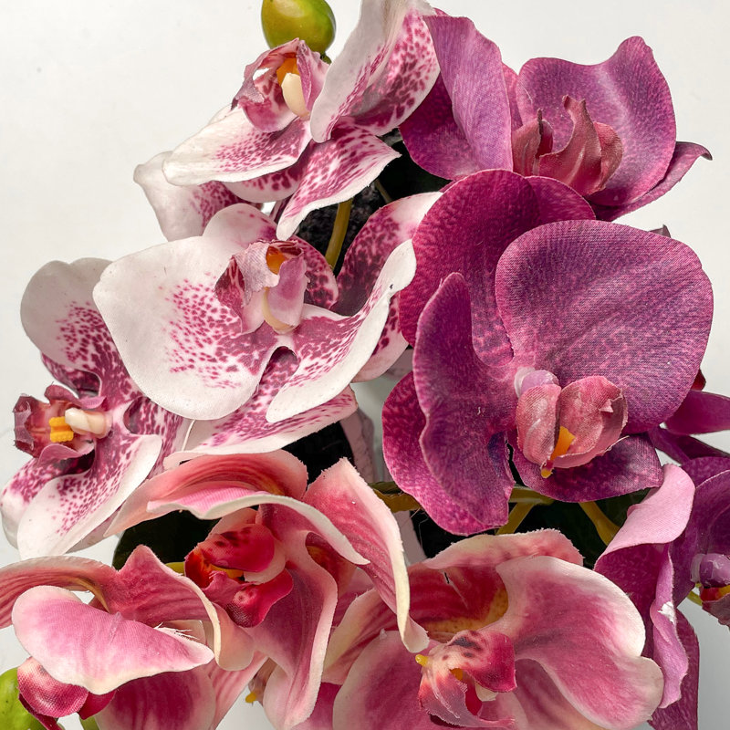 Mini Orchid Flower In Ceramic Pots