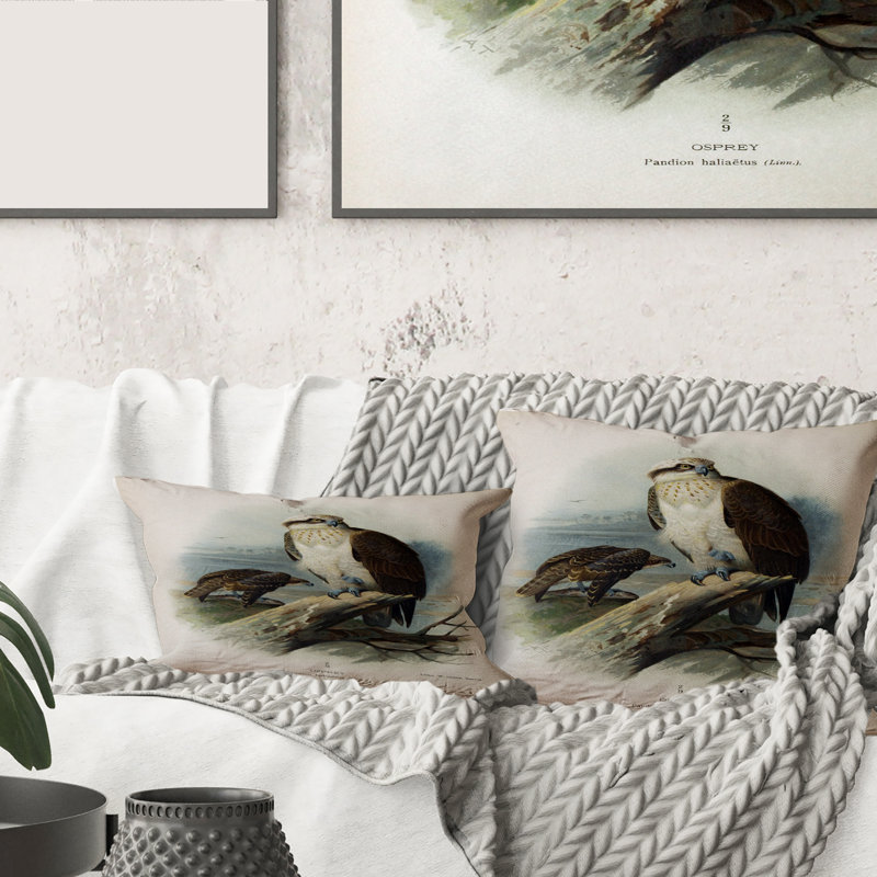 Vie d'oiseau rétro VI - coussin traditionnel imprimé, 16" x 16"