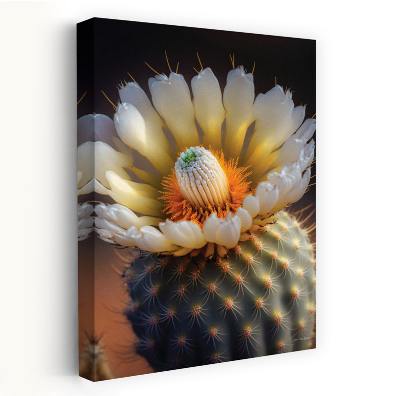 Print, 60.96cm H x 40.64cm W