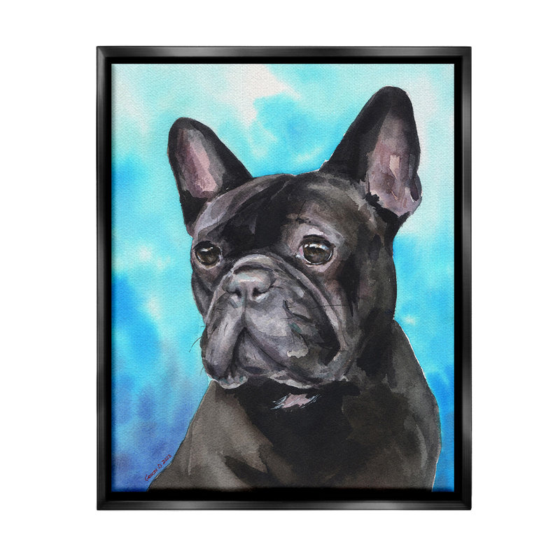 «French Bulldog On Blue» par George Dyachenko sur, Cadre flottant noir de jais, H 21 po x l 17 po