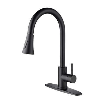 Kitchen Faucet With Pull Out Spraye