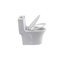 Toilette monobloc Tornado Flush