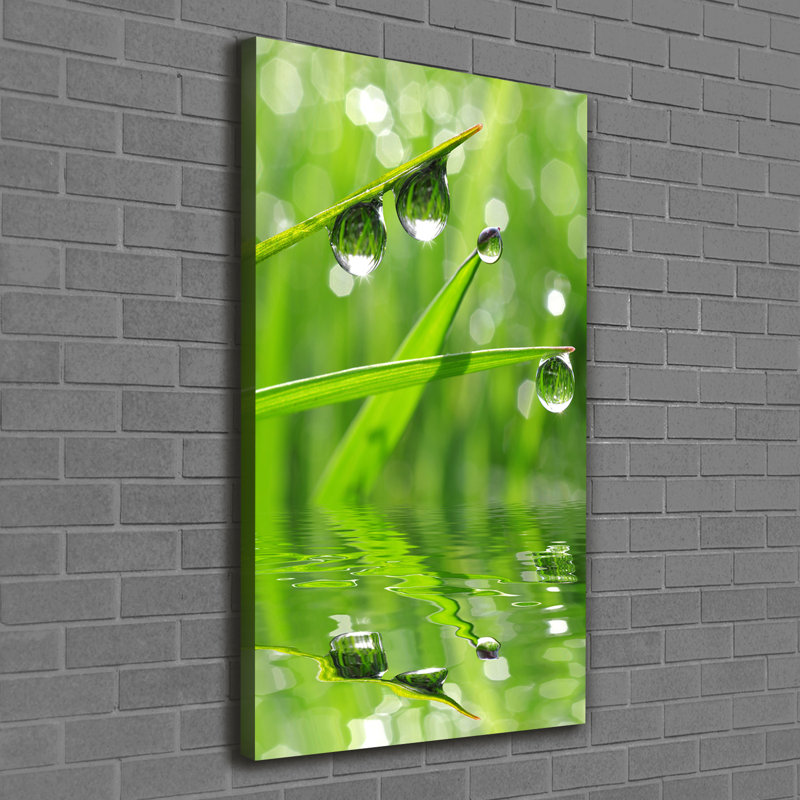 Blades Of Grass - Wrapped Canvas Print