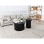 Ensemble de 2 tables basses-1993259297