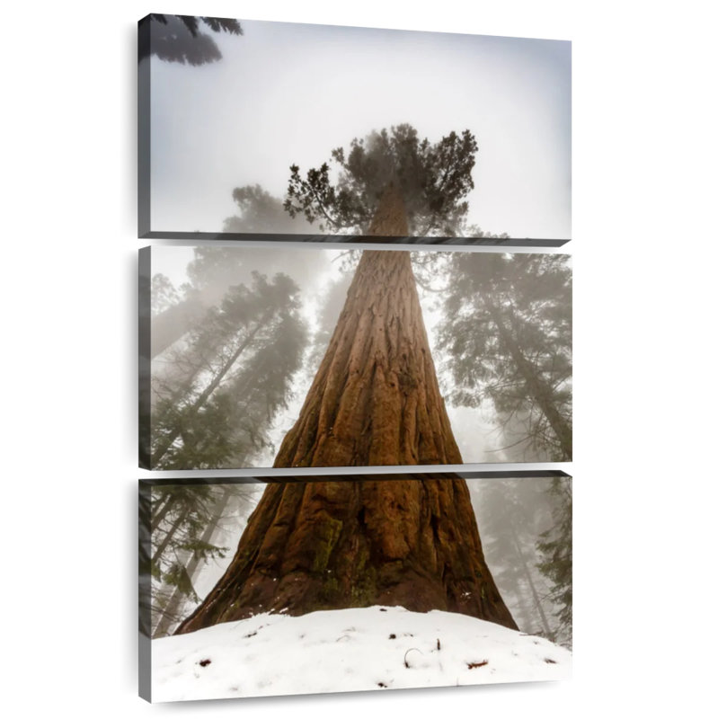 Harnek Sequoia Red Tree
