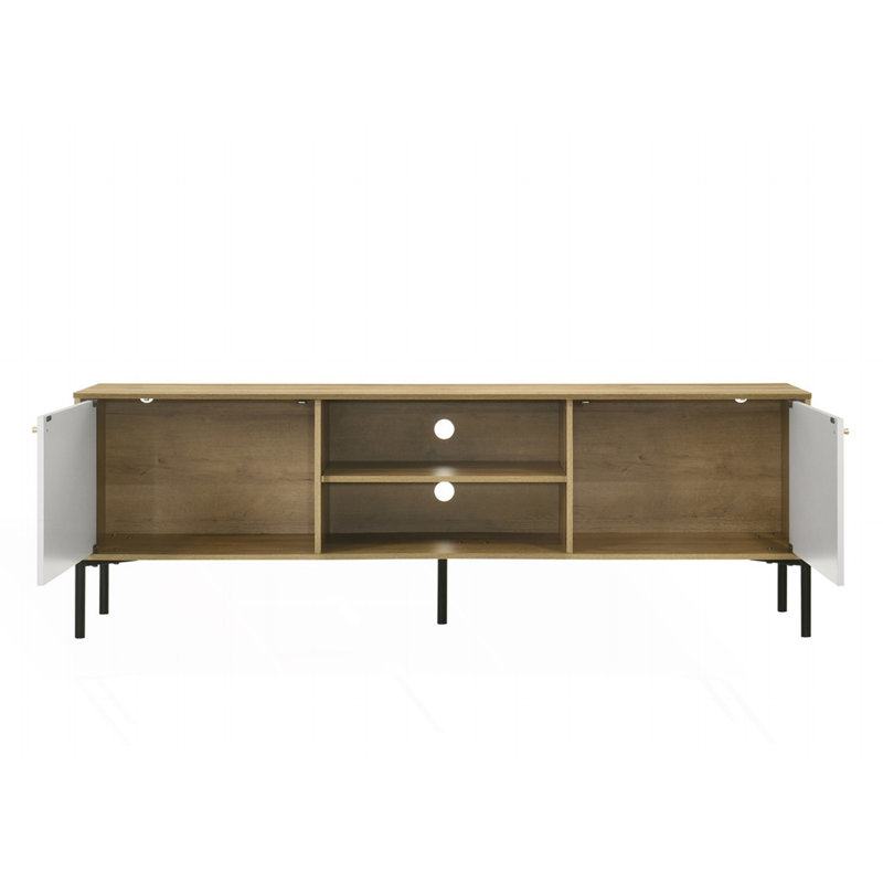 2-Door TV Stand