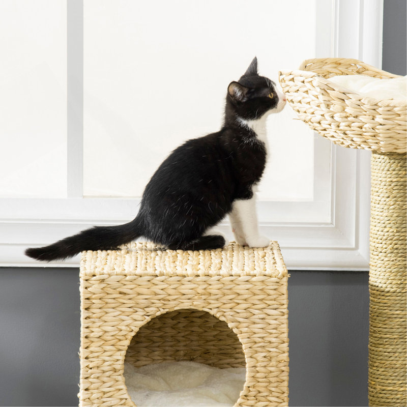Cattail Weave Cat Tree For Indoor Cats Tower With Condo And Bed