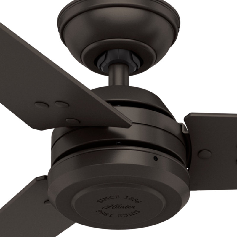 Protos 132cm Ceiling Fan, Fire Polished Wood/Premiere Bronze, Premiere Bronze