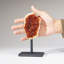 Citrine Quartz Crystal Cluster on Metal Stand (7" H x 2.75" W, 2.2 Lbs)