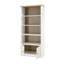 198cm H x 90cm W Standard Bookcase