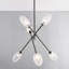 ALBERTON 6 LIGHT CHANDELIER-249582660