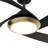 Vespucci 52'' Ceiling Fan with LED Lights-112461114