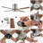 Theo 52'' Ceiling Fan with LED Lights-95107502