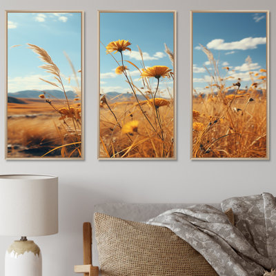 Ensemble de salon coucher de soleil fleurs d'été Meadows - prairies