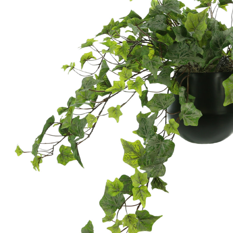 Faux Ivy Plant in Ceramic Pot