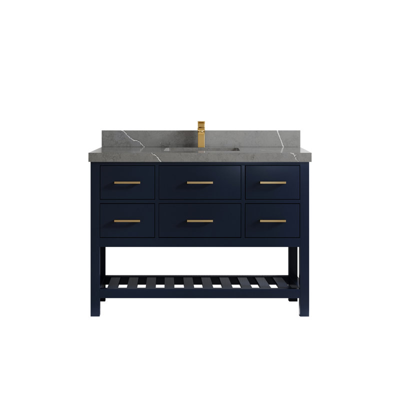 Parker 48'' Single Bathroom Vanity with Top, Piatra Gray