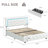 Alber Upholstered Platform Bed Frame with LED Lights & Storage Drawers - Diamond Tufted Headboard & Footboard, Modern Bedroom Furniture-1789157116-1789157107