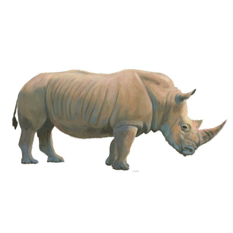 " Wild And Free III " by James Wiens, 8" H x 12" W