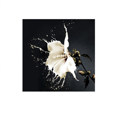 Spash - No Frame Print on Glass