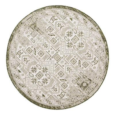 Alvenia Indoor / Outdoor Rug