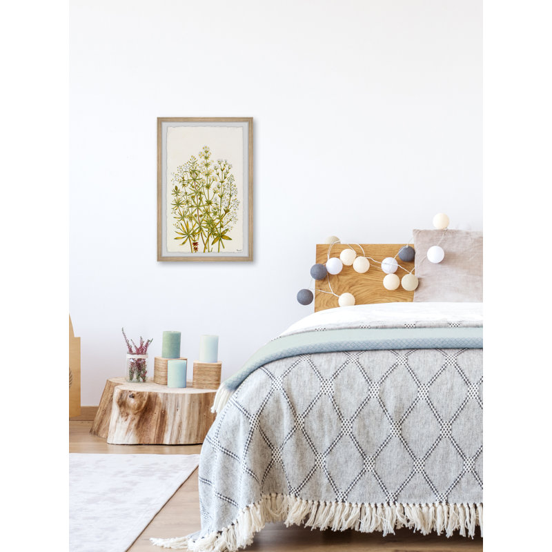 The Flowering Plant 1 Piece Single Picture Frame Painting, 91cm H x 61cm W x 3.81cm D