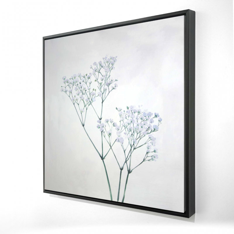 " Baby's-breath Flowers "