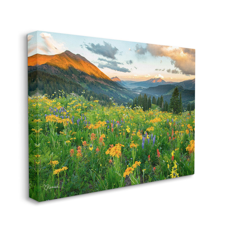 «Open Wildflower Fields Cloudy Sunrise Mountain Landscape» par J.C. Leacock - photographie, H 30 po x l 40 po, Toile tendue
