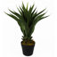 55cm Faux Yucca Tree in Pot Liner