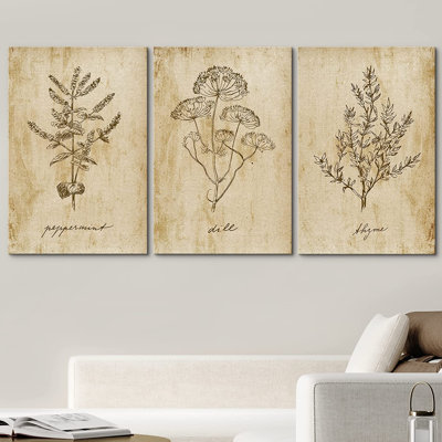 Minimal Botanical " Herb Seasonings " 3 - Pieces
