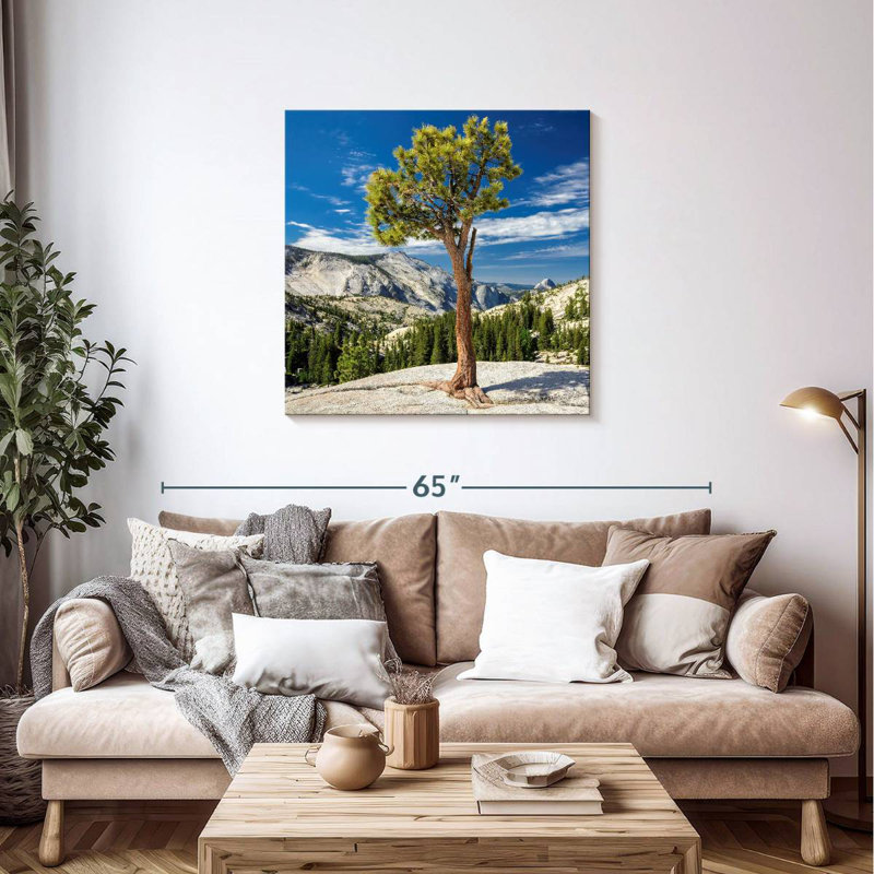 Arbre Harnek Yosemite Park, H 36 po x l 36 po