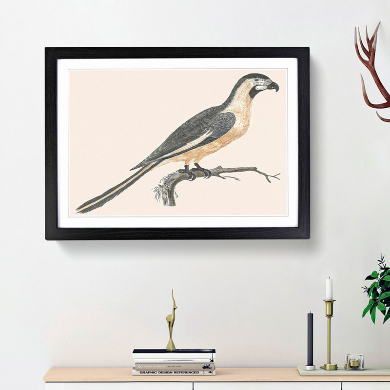 Parrot by Johan Teyler - Picture Frame Painting Print, Black Framed, 48cm H x 65cm W x 2cm D
