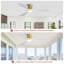 Ventilateur de plafond 48 pouces avec lumière, moteur à courant continu réversible, lumière à intensité variable avec fonction mémoire, parfait pour la chambre à coucher, le salon