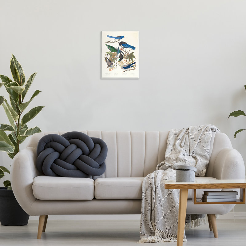 Art classique, plaque de pie à bec jaune par one1000paintings