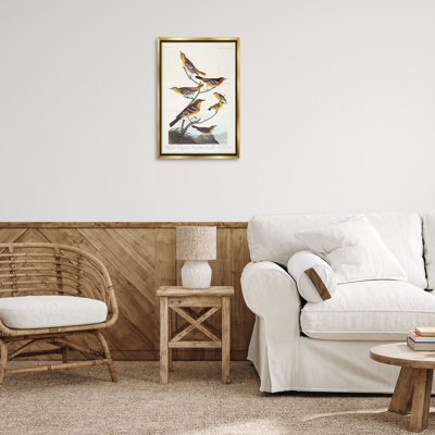 Classic Bullock's Oriole Study Framed Floater Canvas by one1000paintings
