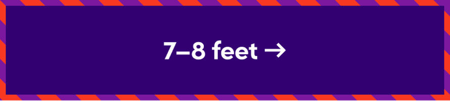 7-8 feet tall Christmas trees