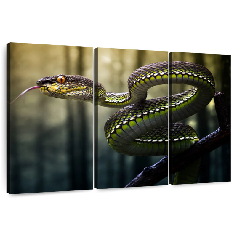 Brampt Sumatran Jungle Viper, 24" H x 38" W