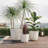 Lightweight  Planter Set Of 3-1179822654