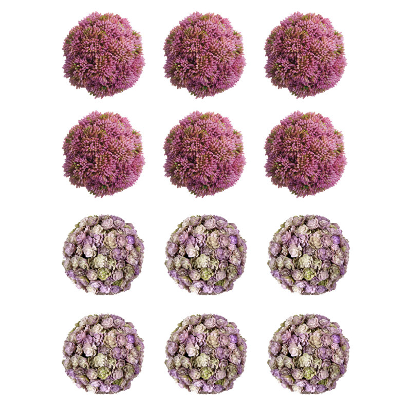 Sedum décoratif, Rose/mauve