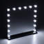 Lizbeth 16-Light Metal Rectangle Dressing Mirror