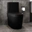 Creationstry GPF Elongated Floor Mounted One-Piece Toilet (Seat Included)-97983440