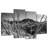 Alvord McDowell Mountain Ranch-108898752