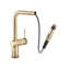 Abode Fraction Single Lever Pull Out Spray Tap-59905063