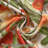 Lal FloralBlackoutThermalRod pocketCurtain Panels-2125728189