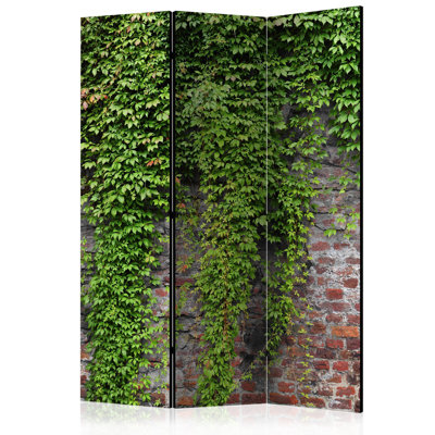 Ulster 172cm H Folding Room Divider