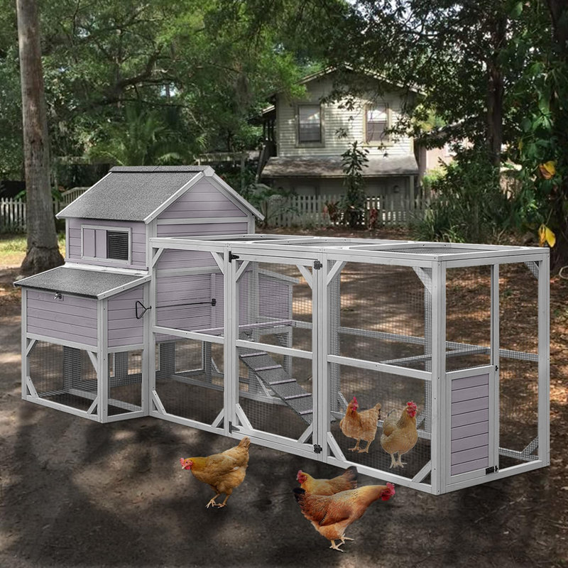 Grand poulailler extérieur de 41 pieds carrés avec enclos - poulailler à plusieurs niveaux, toit résistant aux intempéries, conception résistante aux prédateurs et 6 boîtes de nidification pour 8 à 10 poules