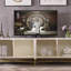 Meuble télé de luxe Creative Design