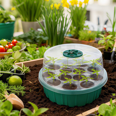 13-Hole Garden Propagator Tray with Lid