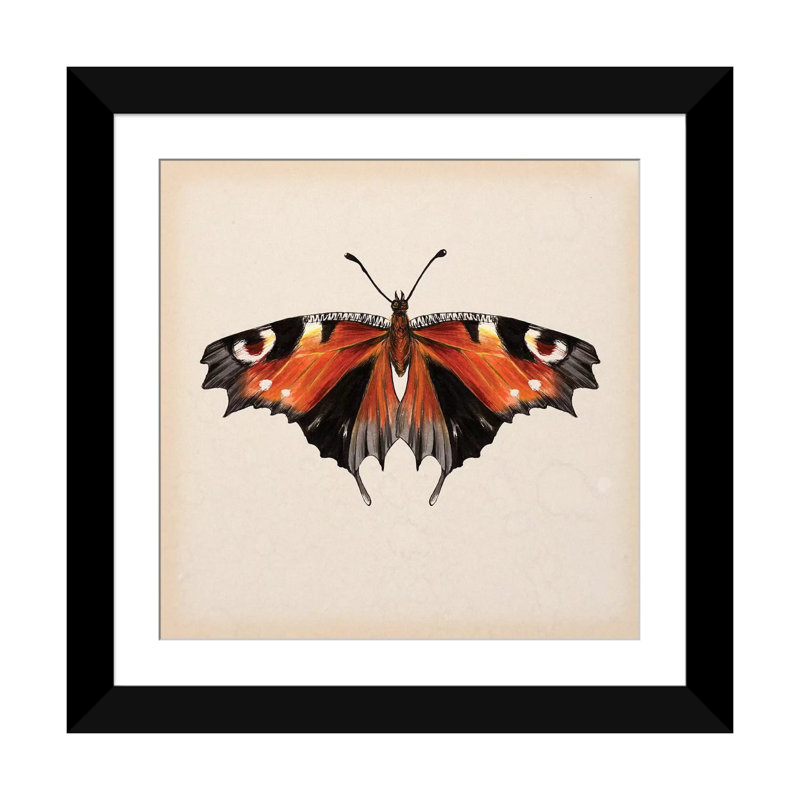 «Butterfly Study V», impression sur toile, Papier beaux-arts encadré noir, Blanc, H 16 po x l 16 po x P 1 po