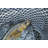 Close up of a Nice Walleye in the Net by Willard - Wrapped Canvas Photograph Print-1900758407