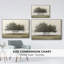 Arbres dans le brouillard II-233045860-233045858